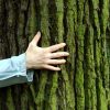 2016 Deadliest Yet for Environmental Defenders treehug